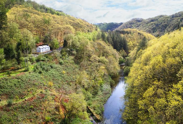 Troedrhiwfawr, , Ceredigion