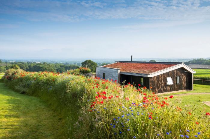 Dorset Eco Retreats