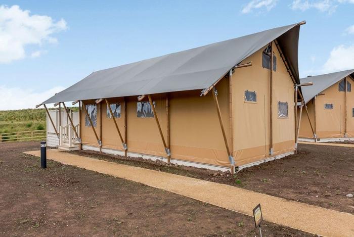 Family Safari Tent 8