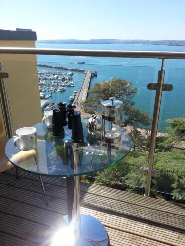 Panoramic sea views, sleeps 4, Torquay