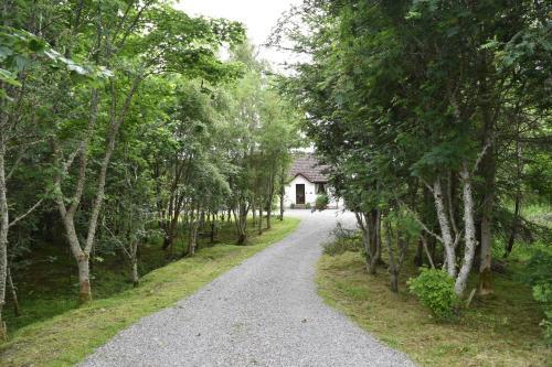 2 bed bungalow in quiet wooded location, Lairg, Highlands