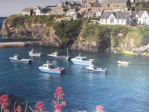 Bay House - Lundy. Port Isaac Dog Friendly Apartment with Sea Views, Port Isaac, Cornwall