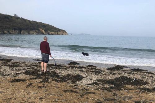 Bay House - Lundy. Port Isaac Dog Friendly Apartment with Sea Views