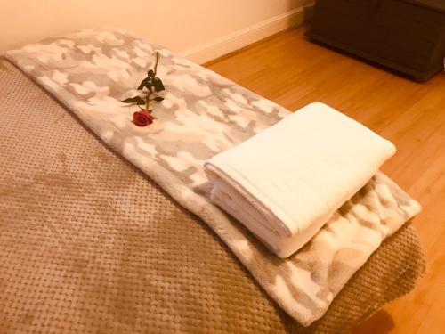 Craufurd Rise Cosy studio close to Maidenhead town centre