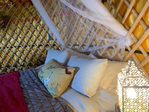 Traditional YURT @ Longleat