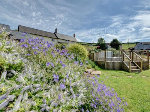 Lovely apartment in Bampton with Jacuzzi