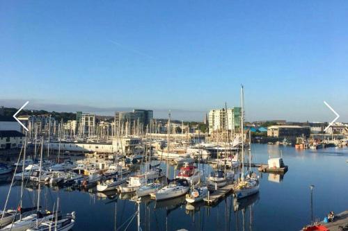 Apartment with roof terrace by historic harbour, Plymouth, Devon