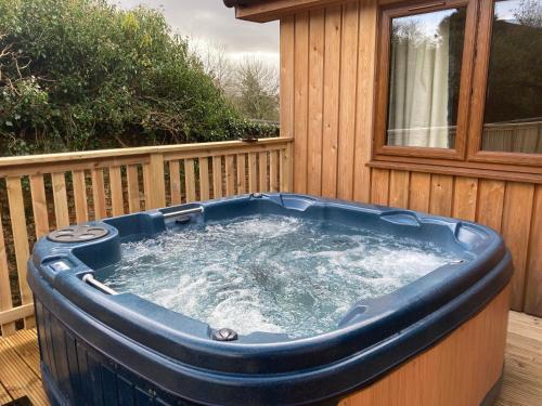 Osprey Lodge 1 with Hot Tub, Newton Stewart, Dumfries and Galloway