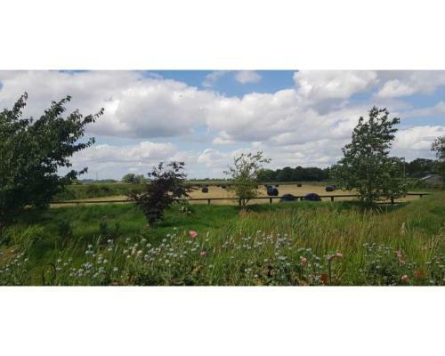 Fenland Retreats at Willow Grange Farm