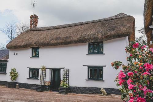 'The Cottage', Okehampton, Devon