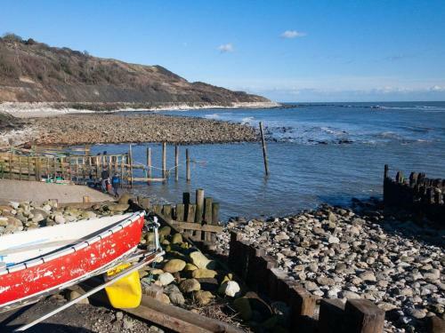 Suntrap, Ventnor, Isle of Wight