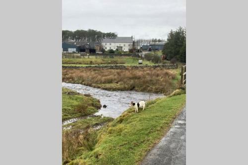 Working farm holiday cottage dog friendly