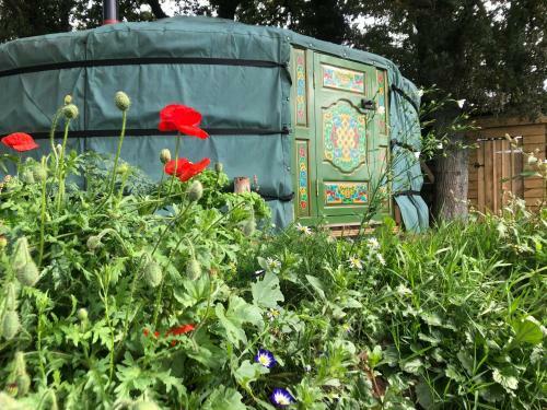 Mill Stream Yurt