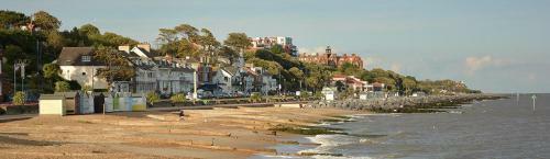 Sea Thrift, Felixstowe, Suffolk