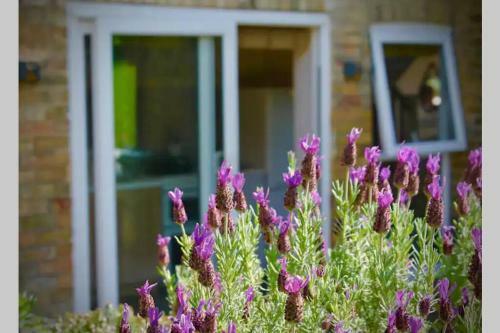 Orford Farm Cottages