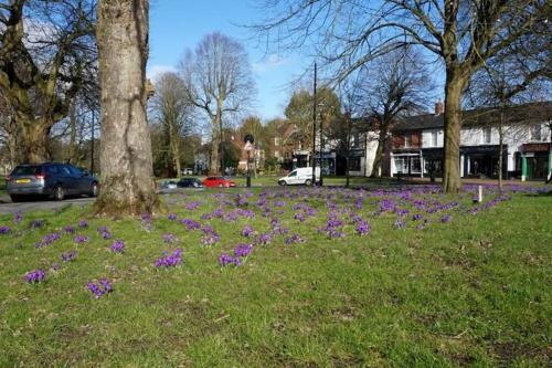 Entire Tettenhall apartment with a view