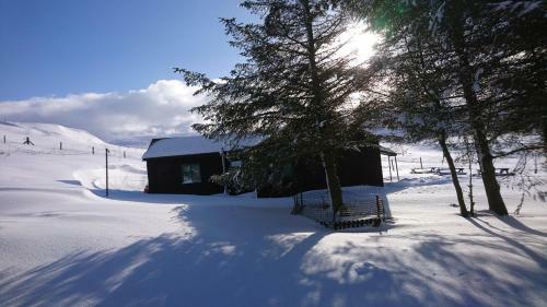 Scotland Farm-house Lodge