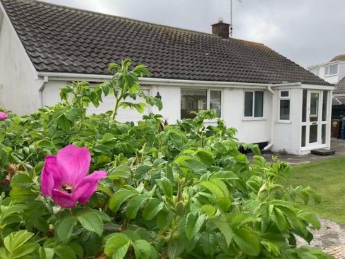 Cosy Seaside Holiday Cottage in Fairbourne