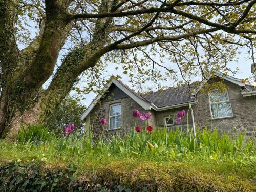 Old School House, Plymouth, Devon